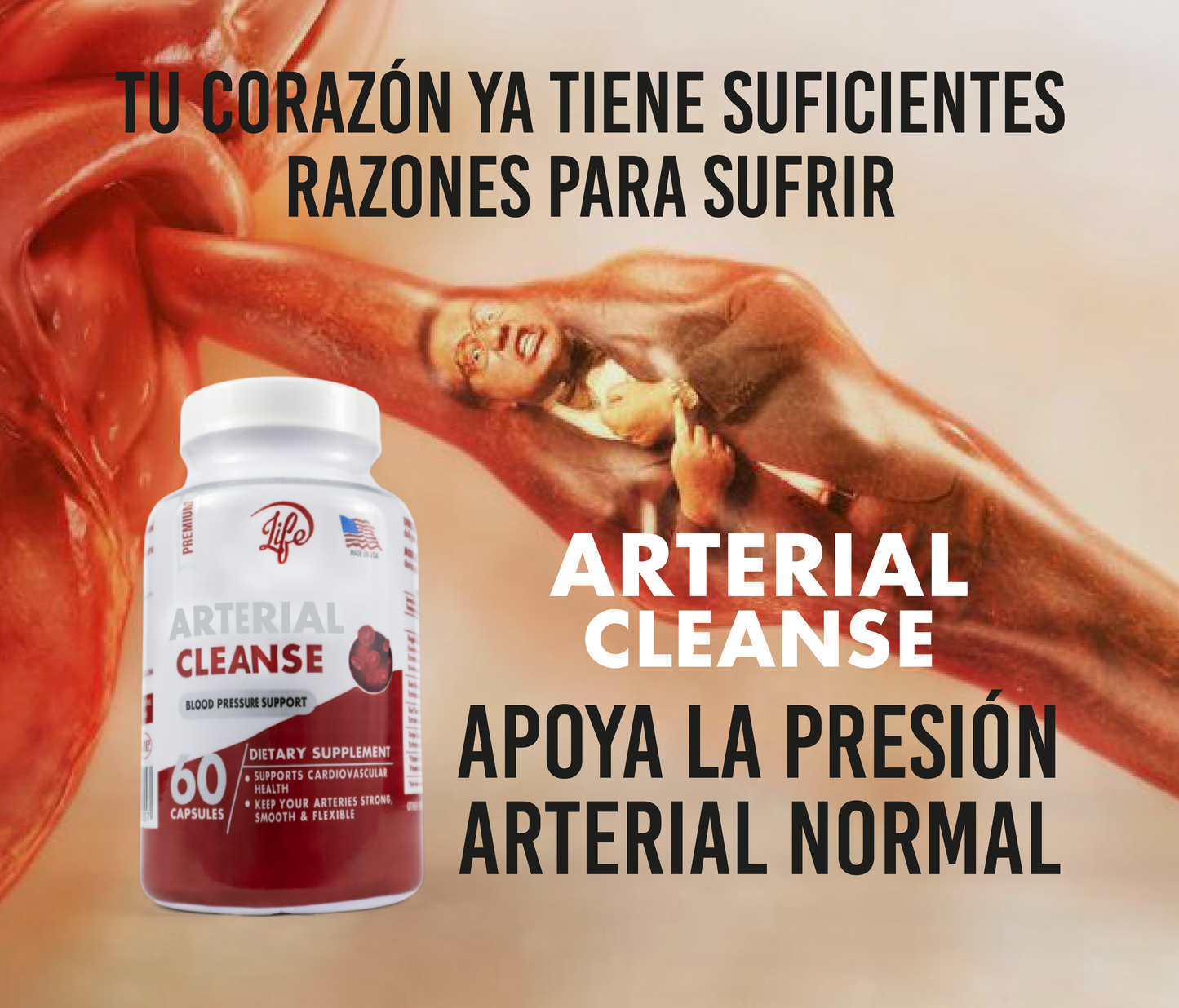 ARTERIAL CLEANSE 60 CAPSULAS